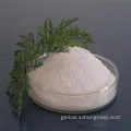  USP Bp Grade Benzocaine Base Powder CAS 94-09-7 Supplier